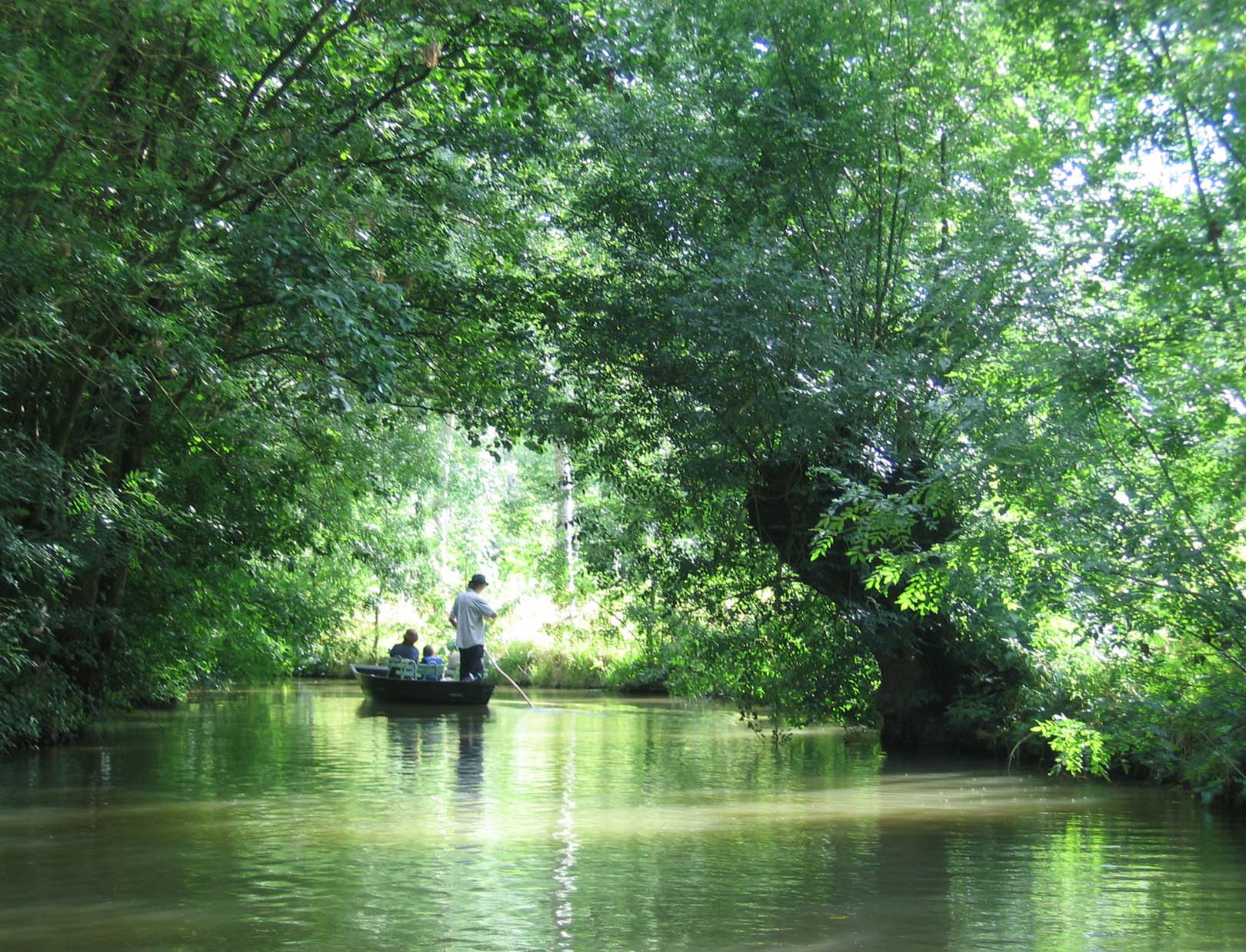Le Marais poitevin